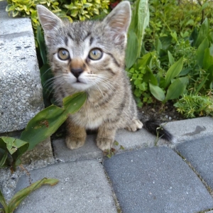14Majka Ani P.