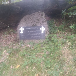 Wierzenica01