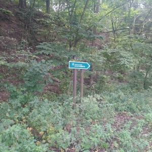 Wierzenica09