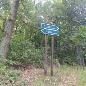 Wierzenica11