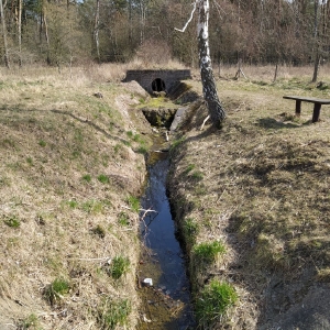 rajd0013