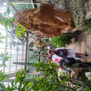 IMG_20220607_114411 (Medium)