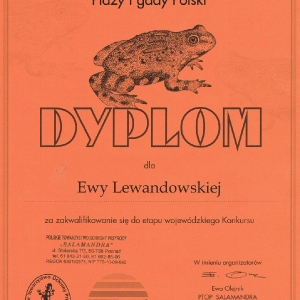 dyplom (2)